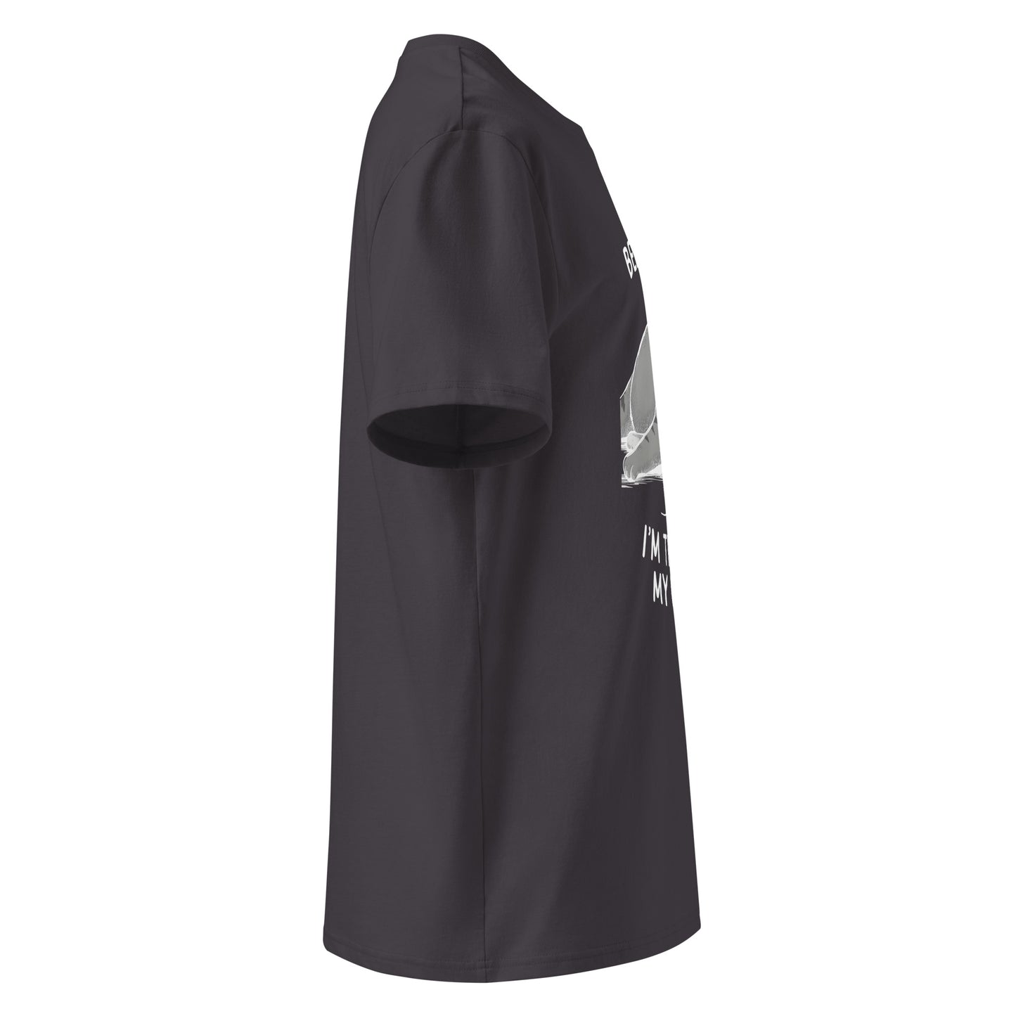 Unisex | Believe Me I'm Trying My Best - Organic Cotton T-Shirt