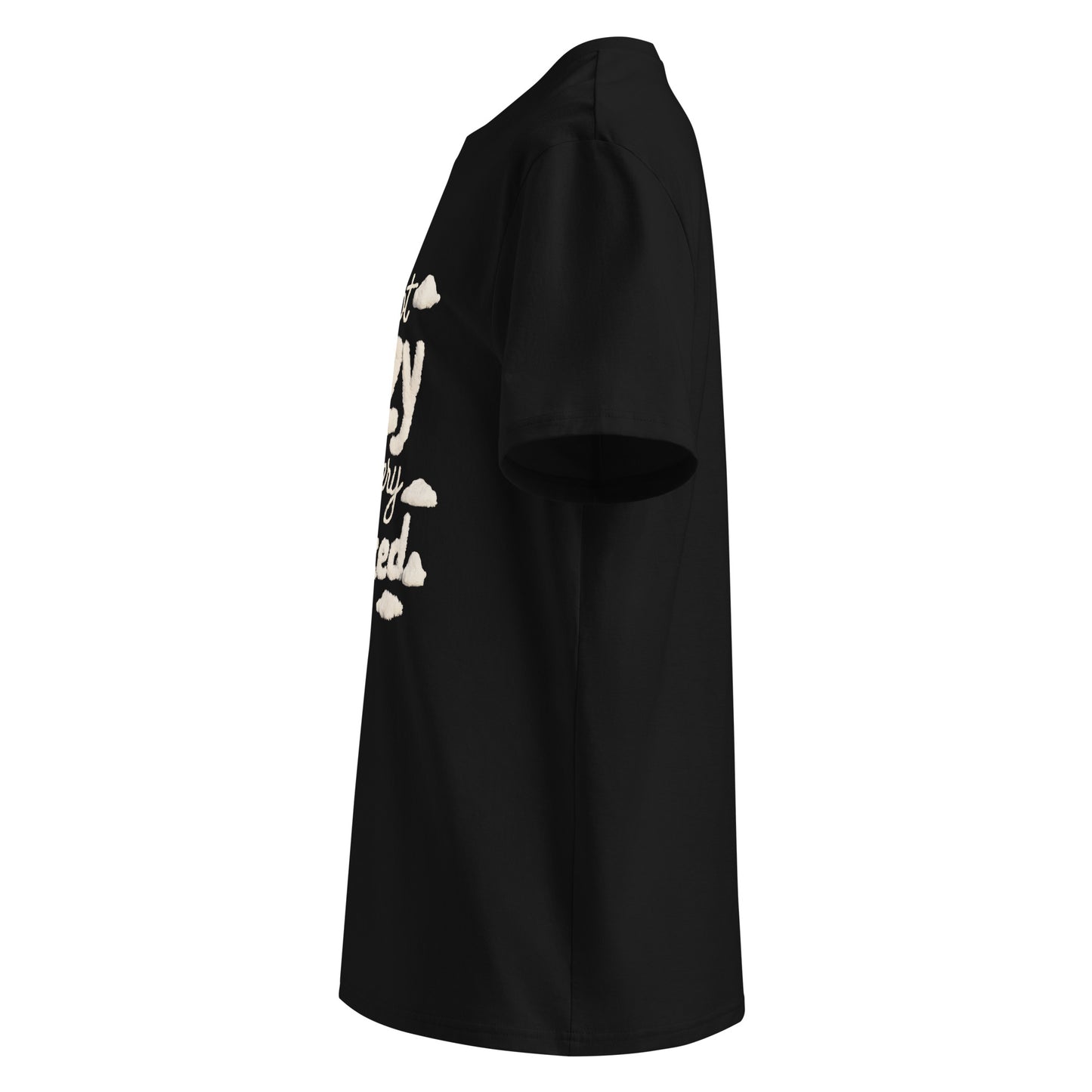 Unisex | I'm Not Lazy I'm Just Relaxed Organic Cotton T-Shirt