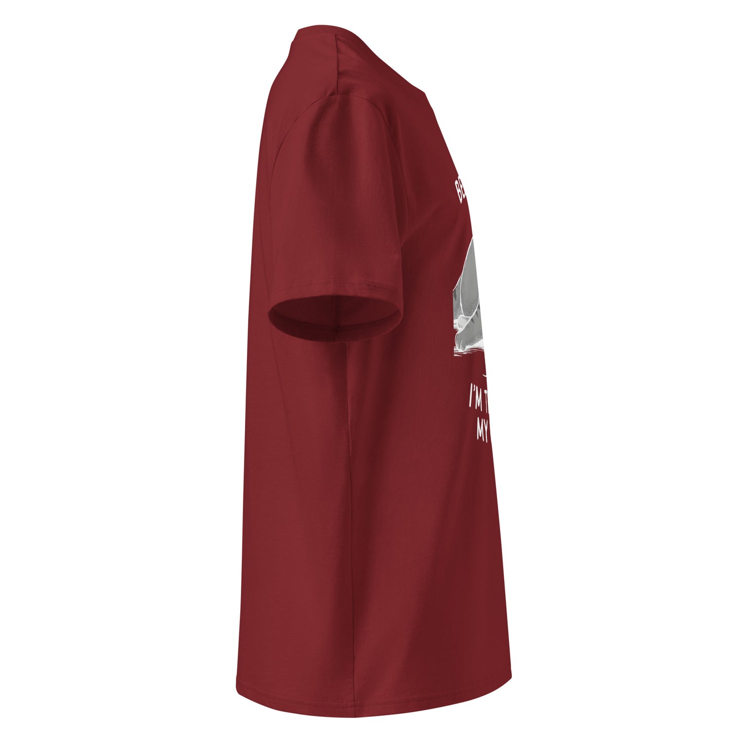 Unisex | Believe Me I'm Trying My Best - Organic Cotton T-Shirt