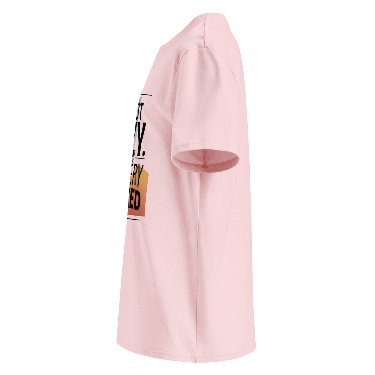 Unisex | I'm Not Lazy I'm Just Relaxed Organic Cotton T-Shirt