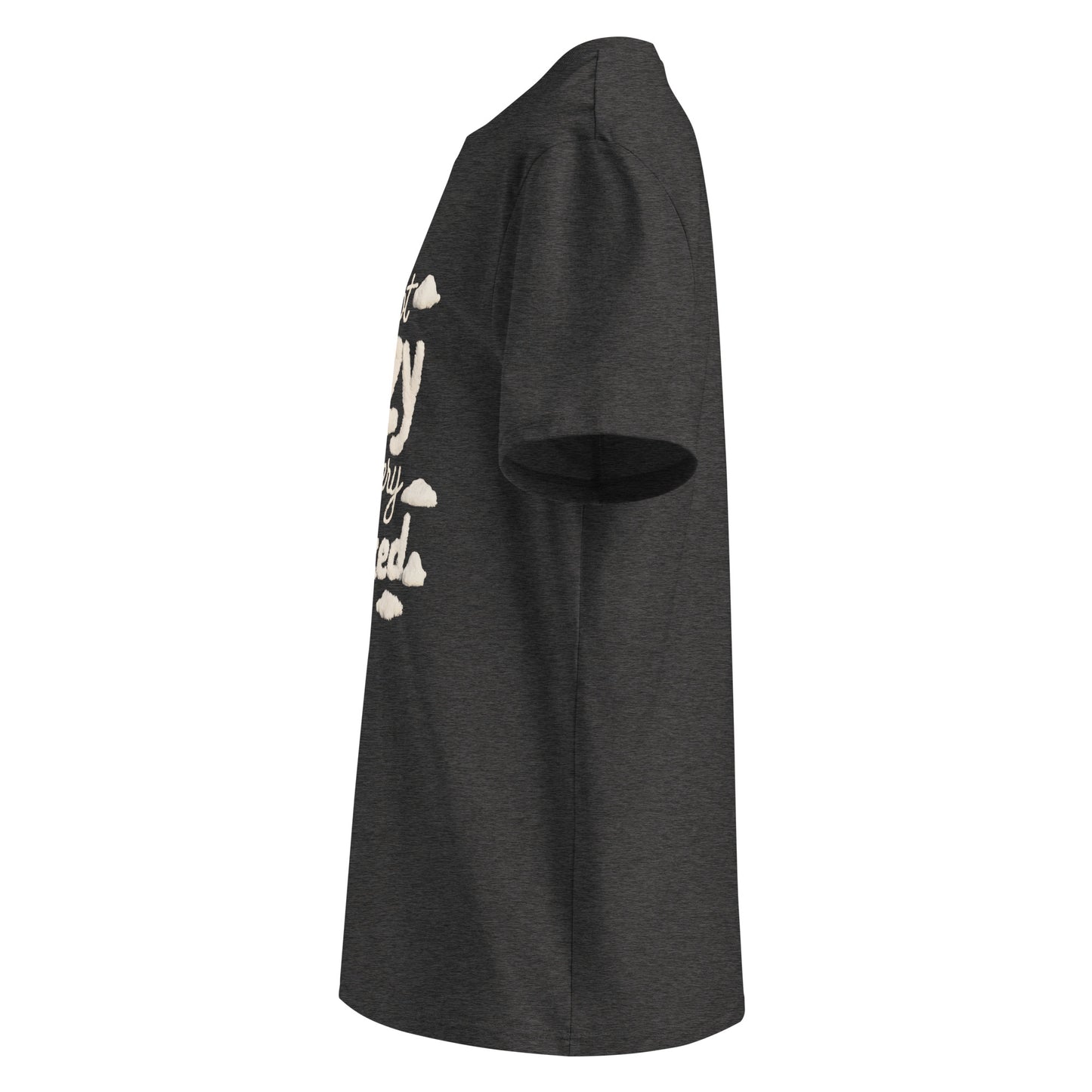 Unisex | I'm Not Lazy I'm Just Relaxed Organic Cotton T-Shirt