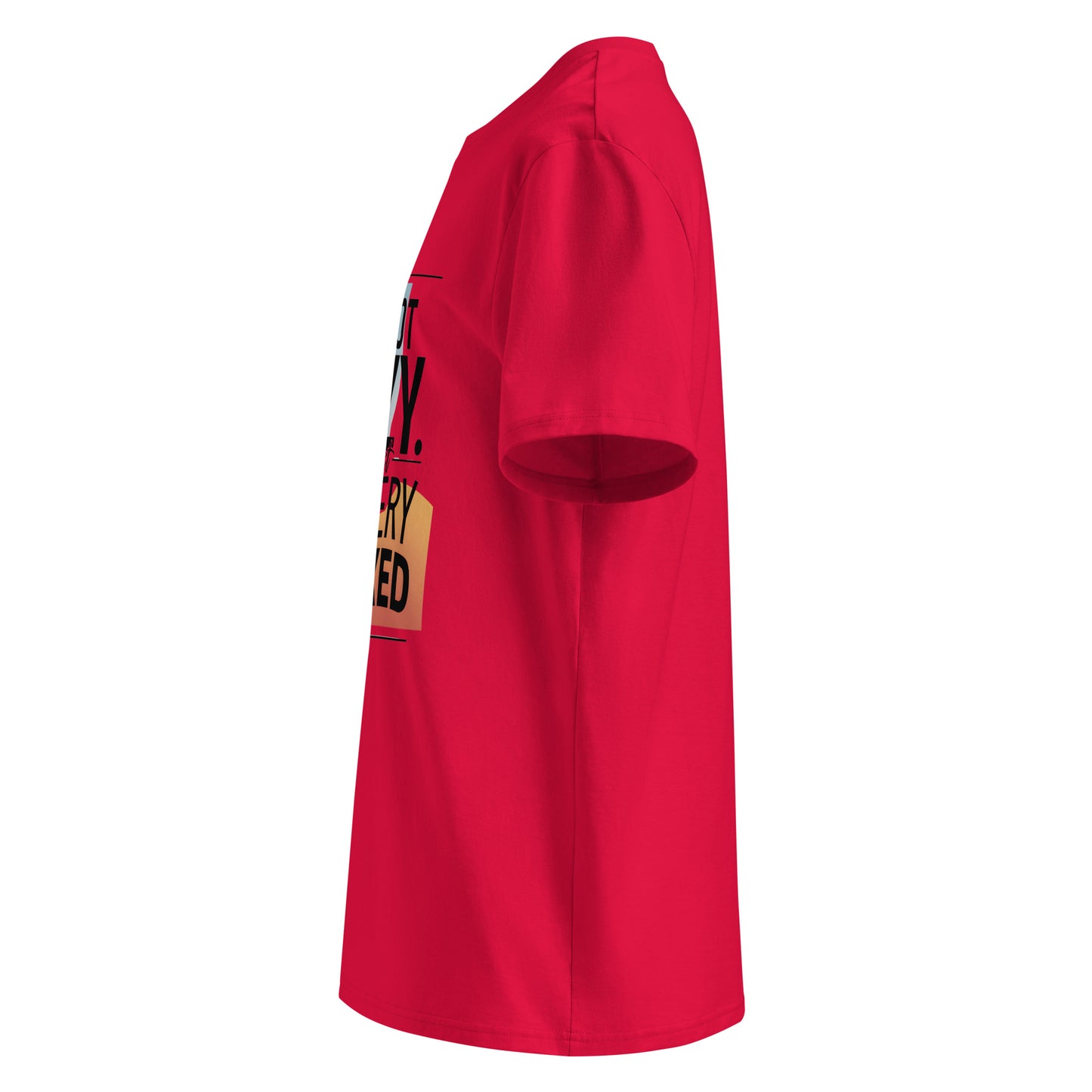 Unisex | I'm Not Lazy I'm Just Relaxed Organic Cotton T-Shirt