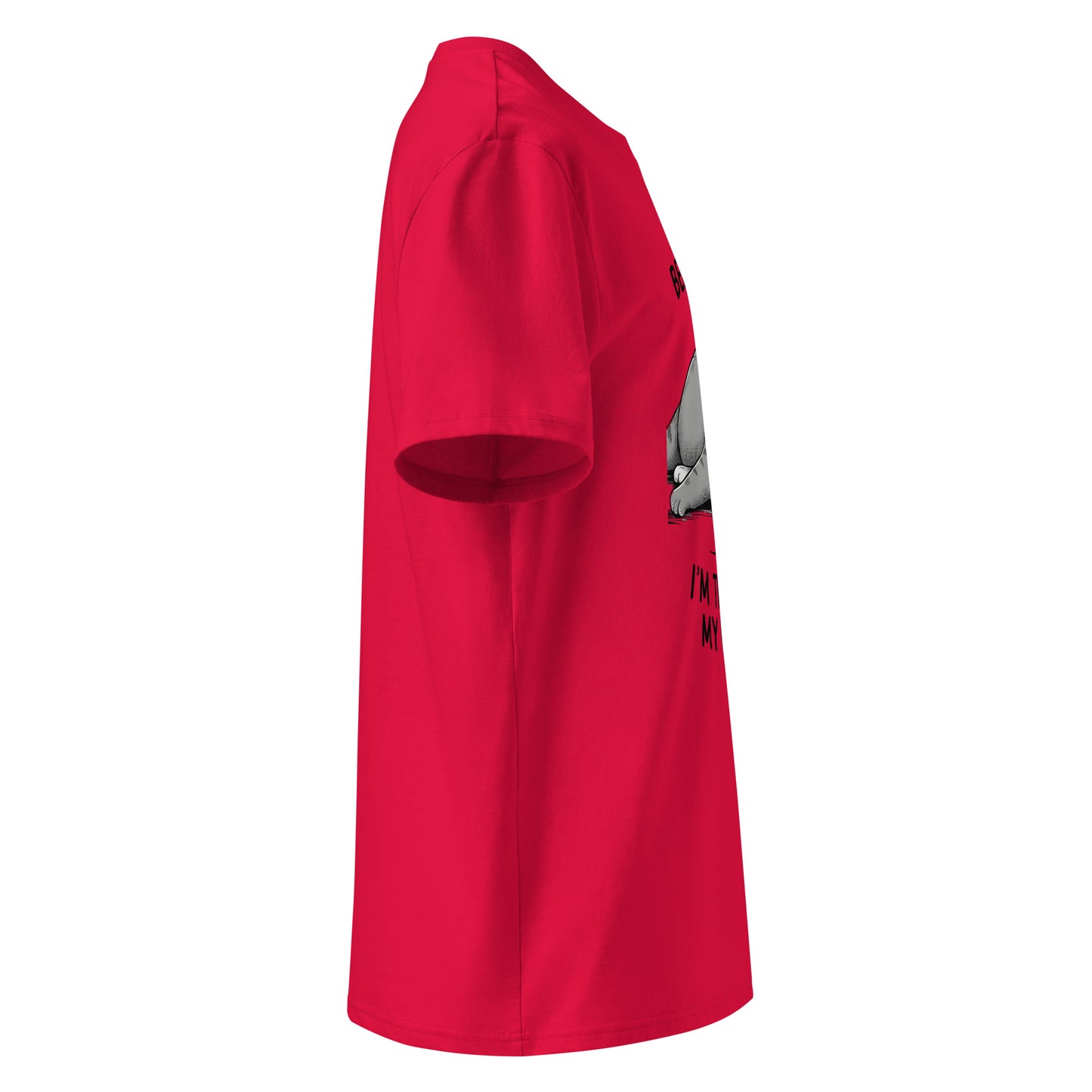 Unisex | Believe Me I'm Trying My Best - Organic Cotton T-Shirt