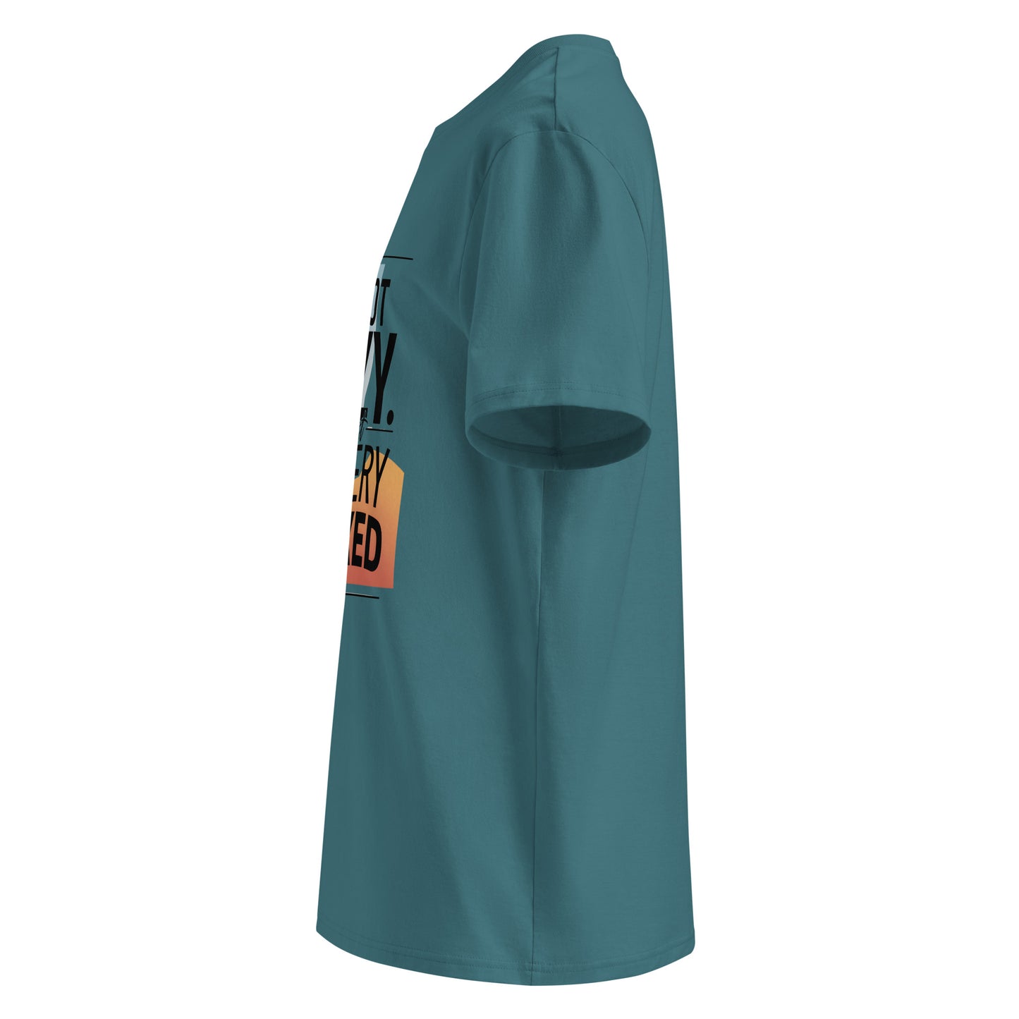 Unisex | I'm Not Lazy I'm Just Relaxed Organic Cotton T-Shirt